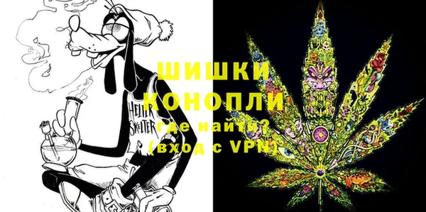 ГАЛЛЮЦИНОГЕННЫЕ ГРИБЫ Нея