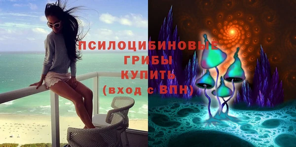 ГАЛЛЮЦИНОГЕННЫЕ ГРИБЫ Нея