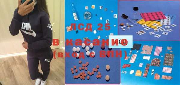 ГАЛЛЮЦИНОГЕННЫЕ ГРИБЫ Нея