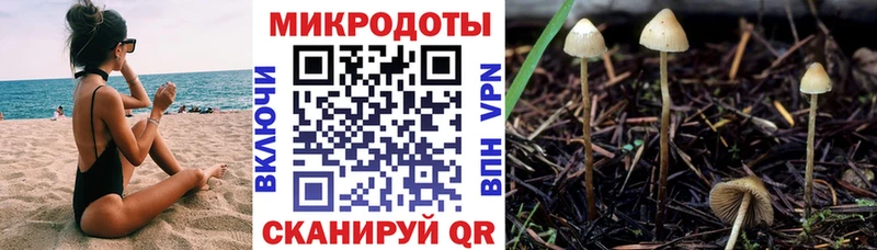 Купить  Киренск  Псилоцибиновые грибы Psilocybine cubensis 